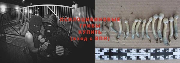 твердый Алексеевка