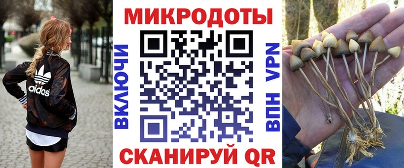 где можно купить наркотик  Ачхой-Мартан  shop телеграм  Галлюциногенные грибы мицелий 